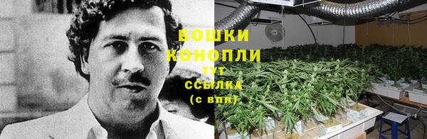 МДПВ Волоколамск