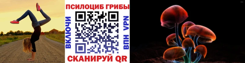 купить  сайты  mega зеркало  Галлюциногенные грибы GOLDEN TEACHER  Петров Вал 